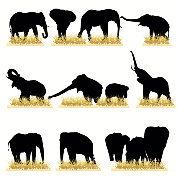 Elefanten Silhouetten gesetzt — Stockvektor