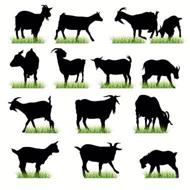 14 Goats silhouettes set clipart