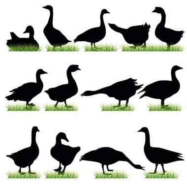 13 Gooses silhouettes set clipart