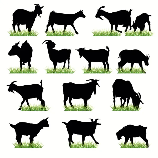 14 Goats silhouettes set — Stock Vector