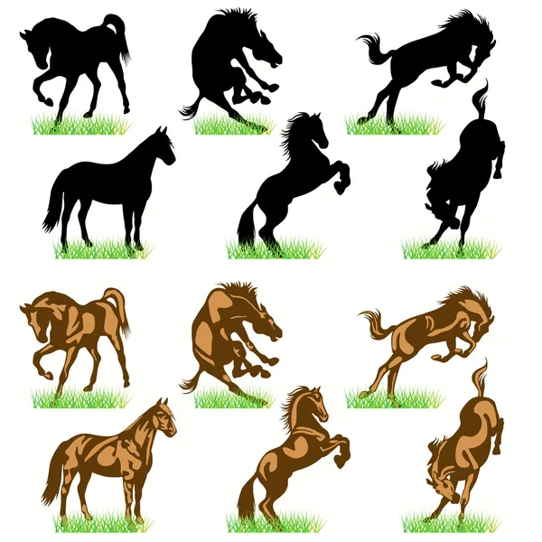 12 Conjunto de siluetas de caballos — Archivo Imágenes Vectoriales