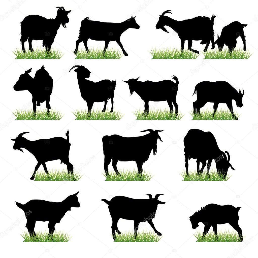 14 Goats silhouettes set
