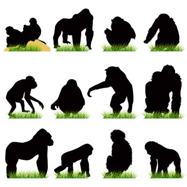 Monkeys Silhouettes Set clipart