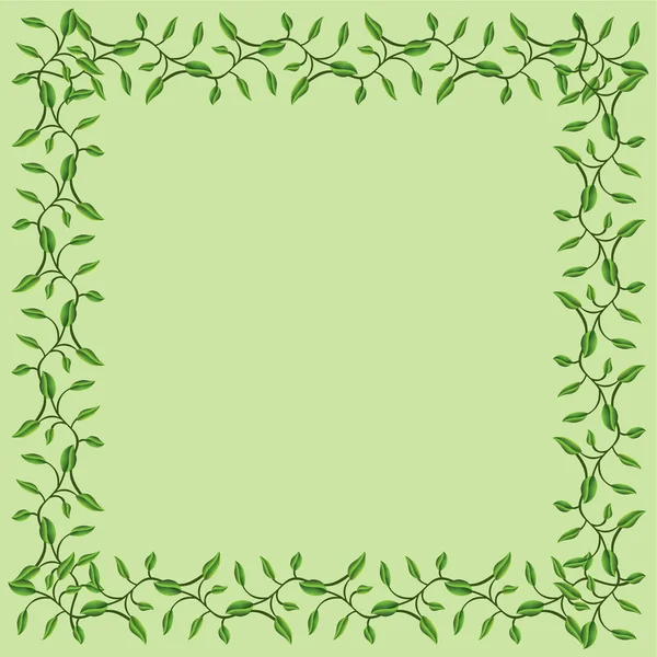 Olive Branches Frame — Stock Vector