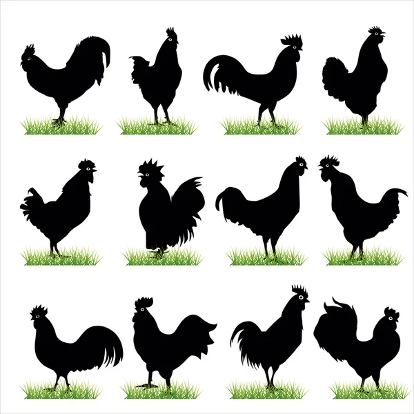 12 Roosters Silhouettes Set — Stock Vector