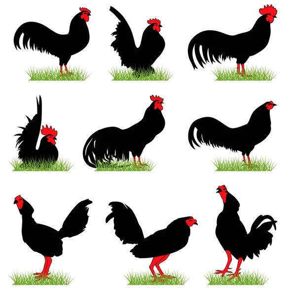 9 Roosters Silhouettes Set — Stock Vector