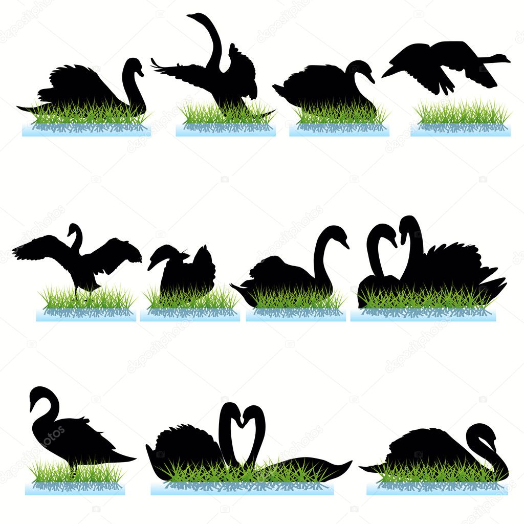 12 Swans Silhouettes Set
