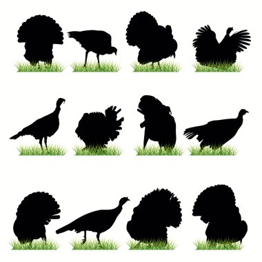 12 Turkey silhouettes set clipart