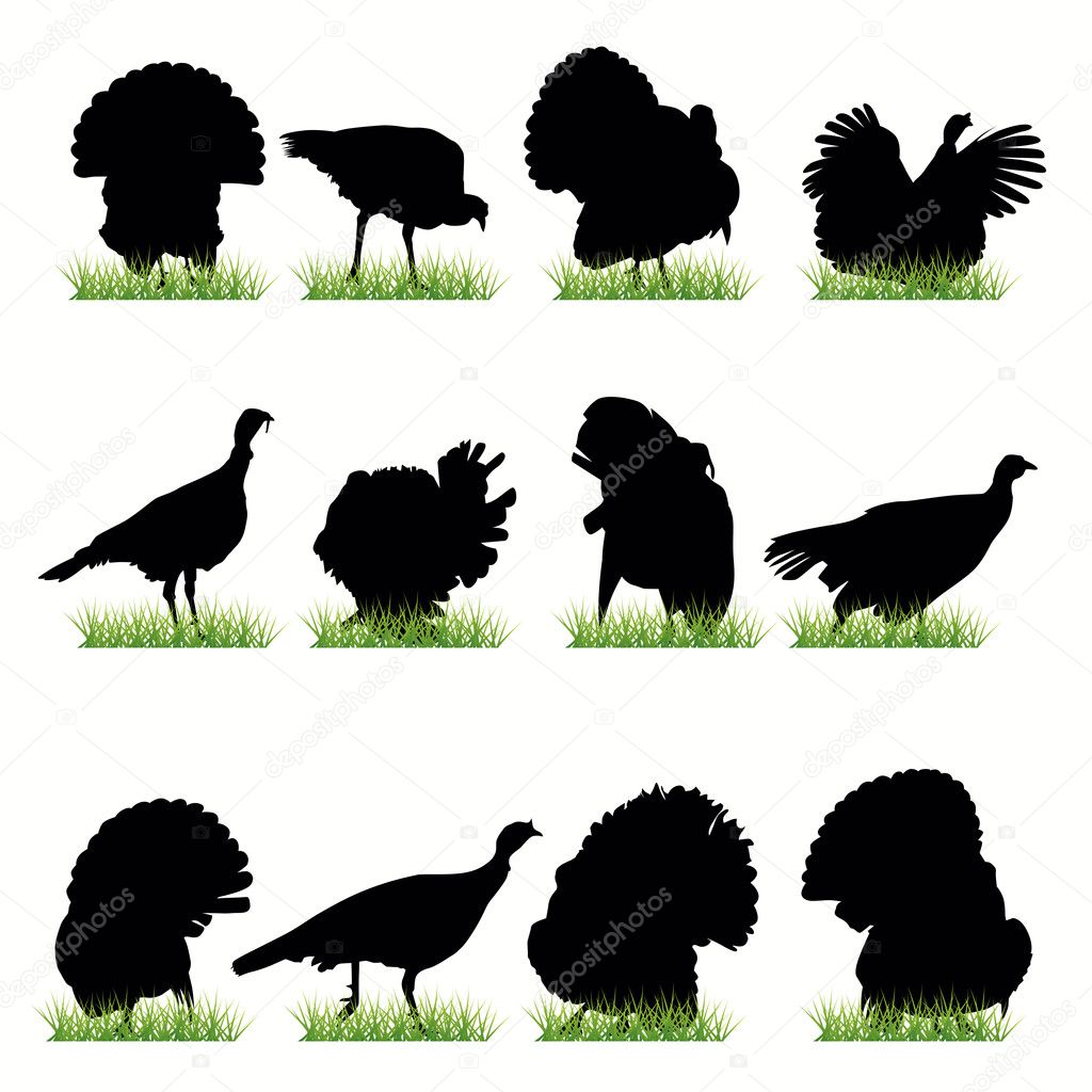 12 Turkey silhouettes set