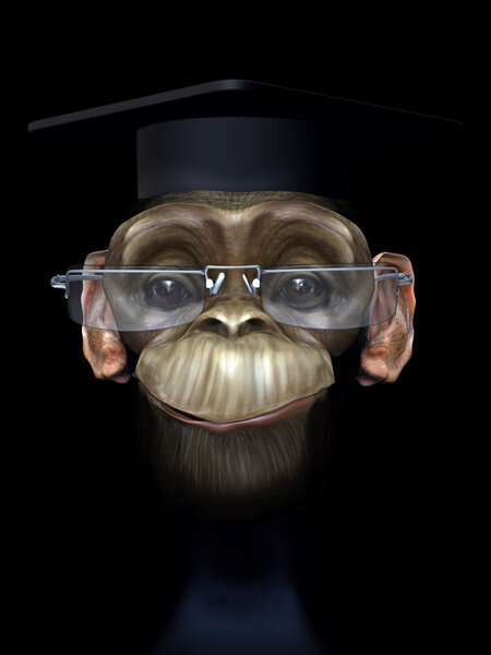 Professor chimp