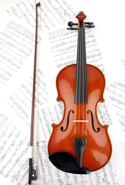 바이올린 음악 — 스톡 사진