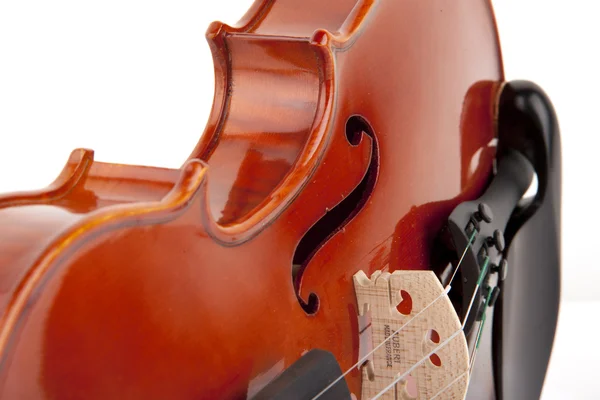 바이올린 음악 — 스톡 사진