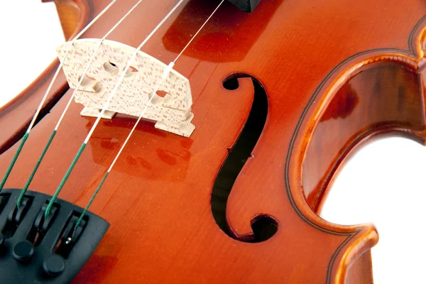 Скрипичная музыка — стоковое фото
