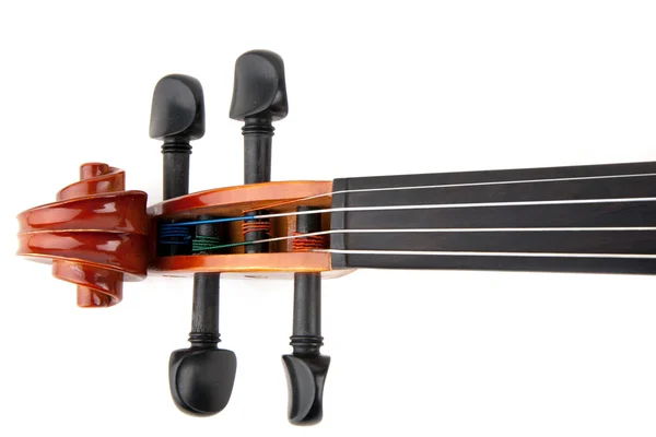 小提琴音乐 — 图库照片