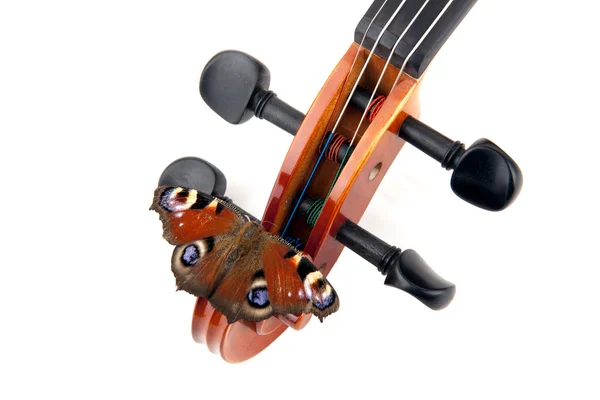 Musique pour violon — Photo