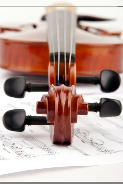 Violinmusik Royaltyfria Stockfoton