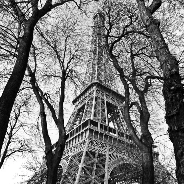 Torre Eiffel Paris Fotos De Bancos De Imagens