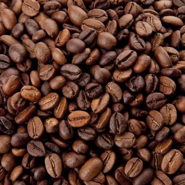 stock image Coffee bean