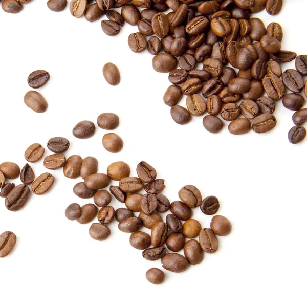 stock image Coffee bean