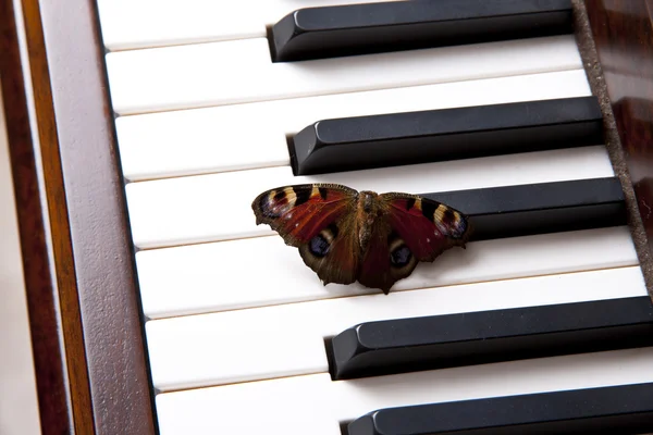 ピアノ音楽 — ストック写真