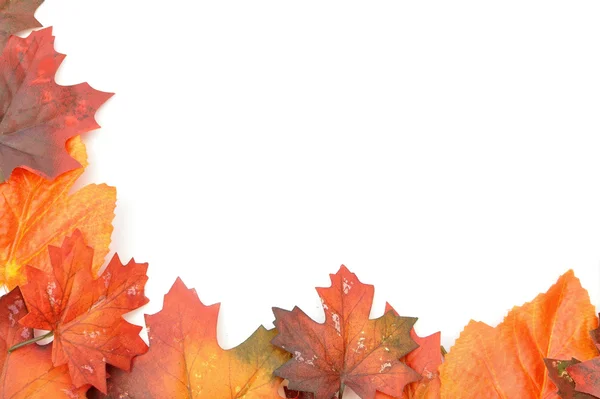 秋天的树叶边框 — 图库照片