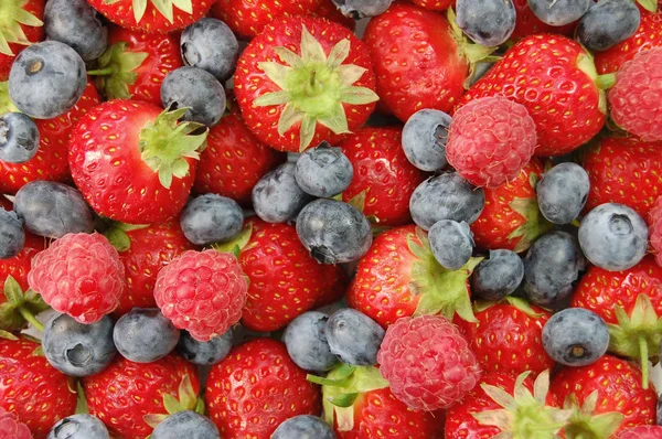 stock image Mixed berries