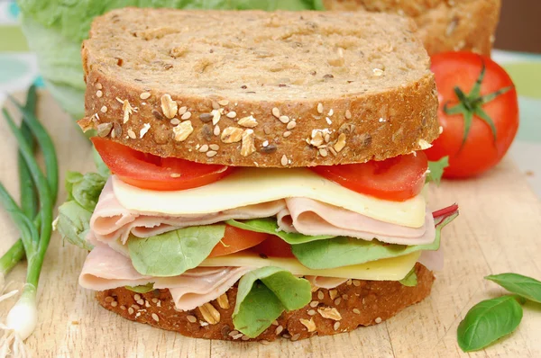 Sandwich Deli — Foto de Stock