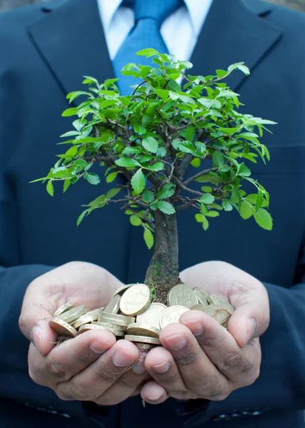 Дерево в руках бизнесмена — стоковое фото