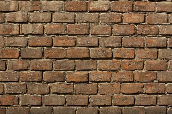 Brick wall — Stock Photo, Image