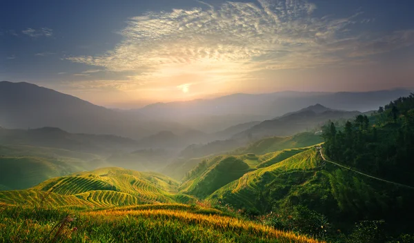 Salida del sol en la terraza de arroz — Foto de Stock