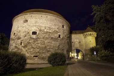 Tallinn Stadttor (City Gate)