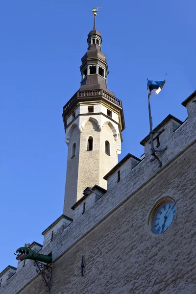 Tallinn Town Hall — Stock Photo, Image