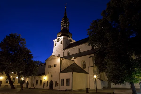 Собор Святої Марії Діви, Таллінн — стокове фото