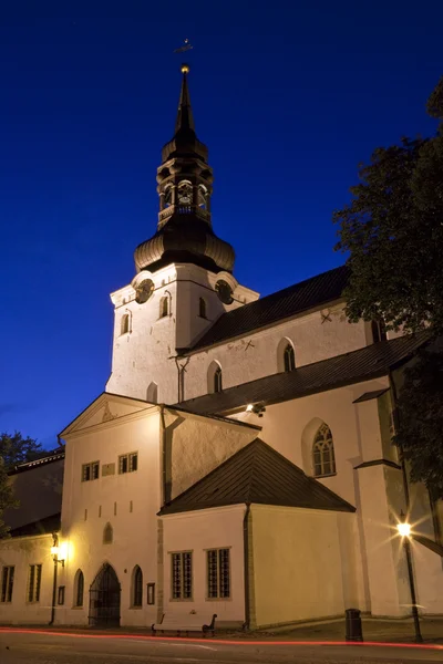 Catedral de Santa Maria Virgem, Tallinn — Fotografia de Stock