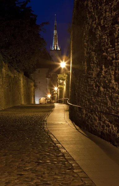 聖オラヴ教会、タリン旧市街の眺め — ストック写真