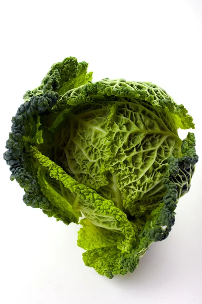 stock image Cabbage