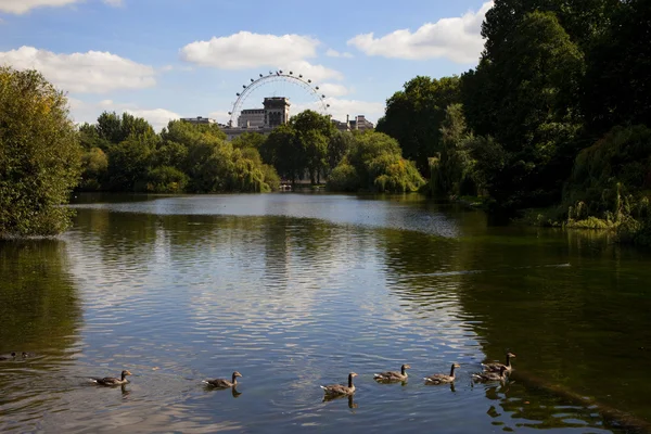 The London Eye from St. James's Park — Stock Photo, Image