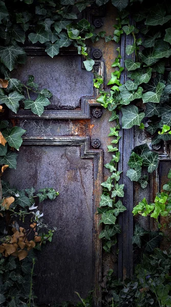 Ржавая железная дверь — стоковое фото