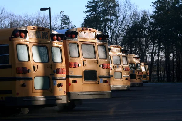 Lijn van schoolbussen — Stockfoto