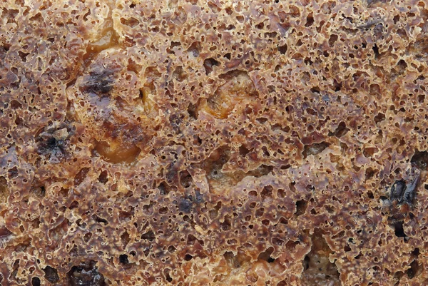 Oberfläche des Brotes — Stockfoto