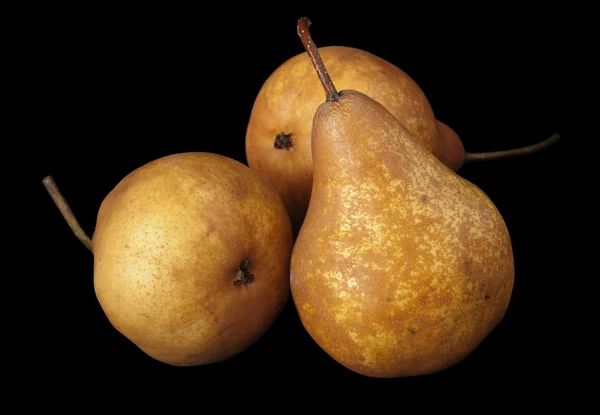 Tre isolerade päron — Stockfoto
