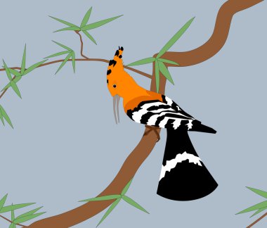 Hoopoe clipart