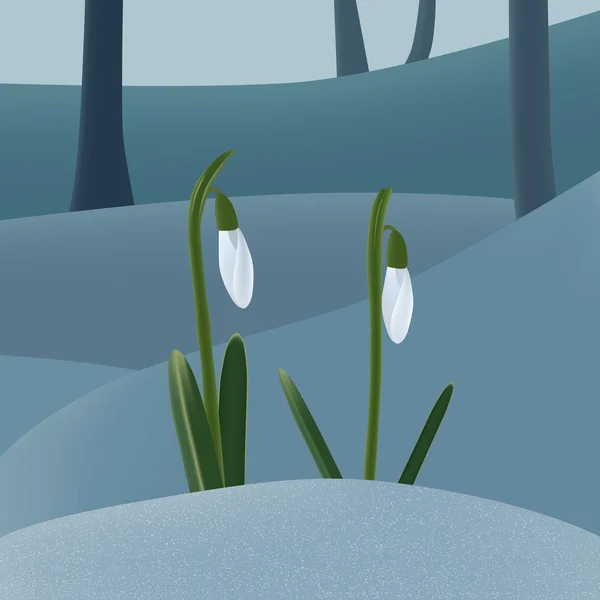 Snowdrops on the snow — Stock Vector
