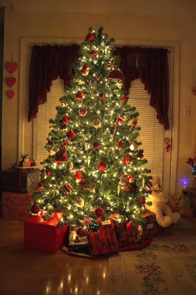 Χριστουγεννιάτικο δέντρο 1 — Φωτογραφία Αρχείου
