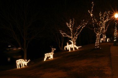 geyik Noel ışıkları