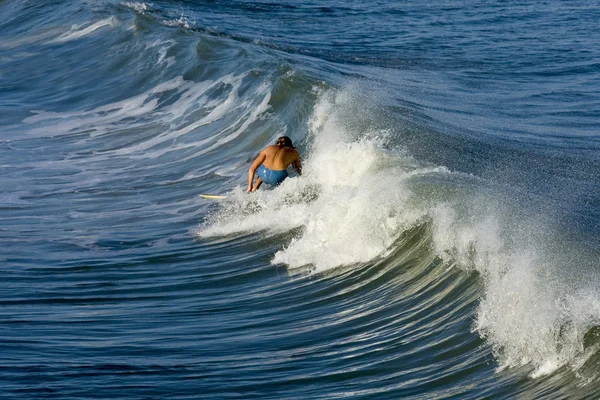 stock image Sunset Surfing