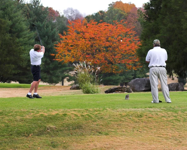 Fall Golfing — Stock Photo, Image
