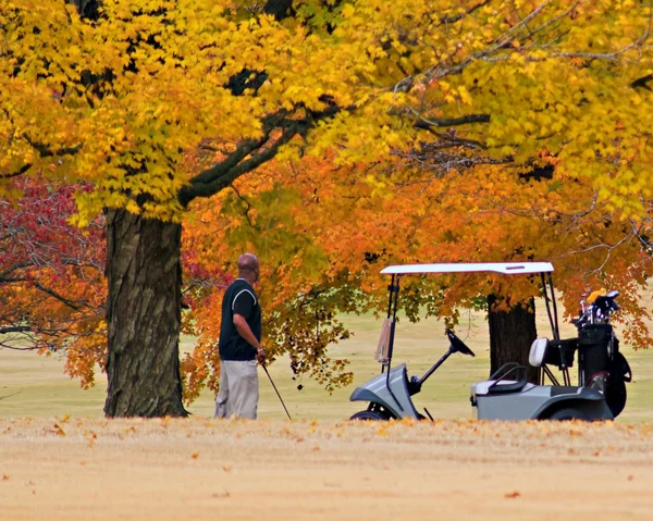 Fall Golfing Royalty Free Stock Images