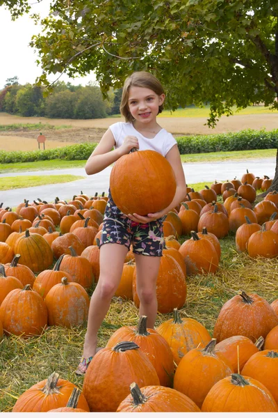 Kids and Pumpkins — Stock Photo, Image