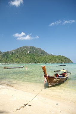 tekne tropikal ko phi phi beach Tayland